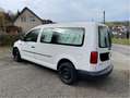 Volkswagen Caddy Caddy Maxi Kombi EcoProfi BMT 2.0 TDI Weiß - thumbnail 2