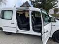 Volkswagen Caddy Caddy Maxi Kombi EcoProfi BMT 2.0 TDI Weiß - thumbnail 12