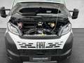 Fiat Ducato Pritsche Kipper MAXI L2+ 3500 140 MT Weiß - thumbnail 22