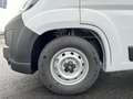 Fiat Ducato Pritsche Kipper MAXI L2+ 3500 140 MT Weiß - thumbnail 23