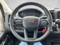 Fiat Ducato Pritsche Kipper MAXI L2+ 3500 140 MT Weiß - thumbnail 14