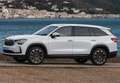 Skoda Kodiaq 1.5 TSI Ambition 4x2 DSG 110kW Azul - thumbnail 30