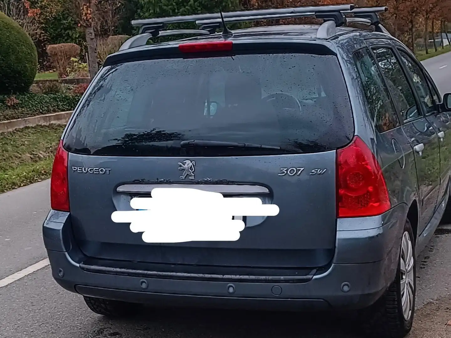 Peugeot 307 307 HDi 110 OXYGO Серебристый - 2