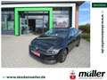 Volkswagen Golf VIII Lim. Active 1.0TSI 81kW NAVI beh. LR Negro - thumbnail 1