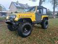 Jeep Wrangler 4.0 high output offroad, sperren 37s Geel - thumbnail 9
