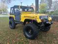 Jeep Wrangler 4.0 high output offroad, sperren 37s Geel - thumbnail 25