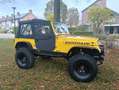 Jeep Wrangler 4.0 high output offroad, sperren 37s Geel - thumbnail 22