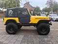 Jeep Wrangler 4.0 high output offroad, sperren 37s Geel - thumbnail 6