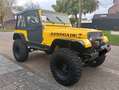 Jeep Wrangler 4.0 high output offroad, sperren 37s Geel - thumbnail 5