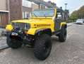 Jeep Wrangler 4.0 high output offroad, sperren 37s Geel - thumbnail 3