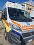 Fiat Ducato Allestimento ambulanza Wit - thumbnail 3
