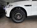 Jaguar F-Pace 3.0TDV6 R-Sport Aut. AWD Blanco - thumbnail 28