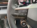 CUPRA Terramar 1.5 eTSI 110 kW Schwarz - thumbnail 12