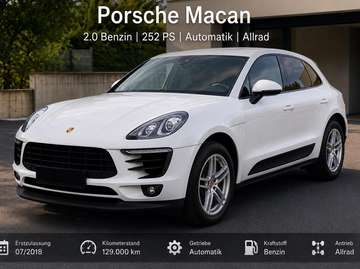 Macan