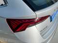 Skoda Octavia Combi 2.0TDI Ambition 85kW Gris - thumbnail 23
