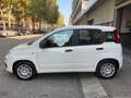 Fiat Panda Panda ICON Pandina 1.0 Hybrid KM0 *PROMO CASH* Blanc - thumbnail 3