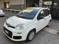 Fiat Panda Panda ICON Pandina 1.0 Hybrid KM0 *PROMO CASH* Blanc - thumbnail 1