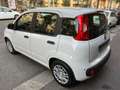 Fiat Panda Panda ICON Pandina 1.0 Hybrid KM0 *PROMO CASH* Blanc - thumbnail 4