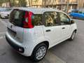 Fiat Panda Panda ICON Pandina 1.0 Hybrid KM0 *PROMO CASH* Blanc - thumbnail 5