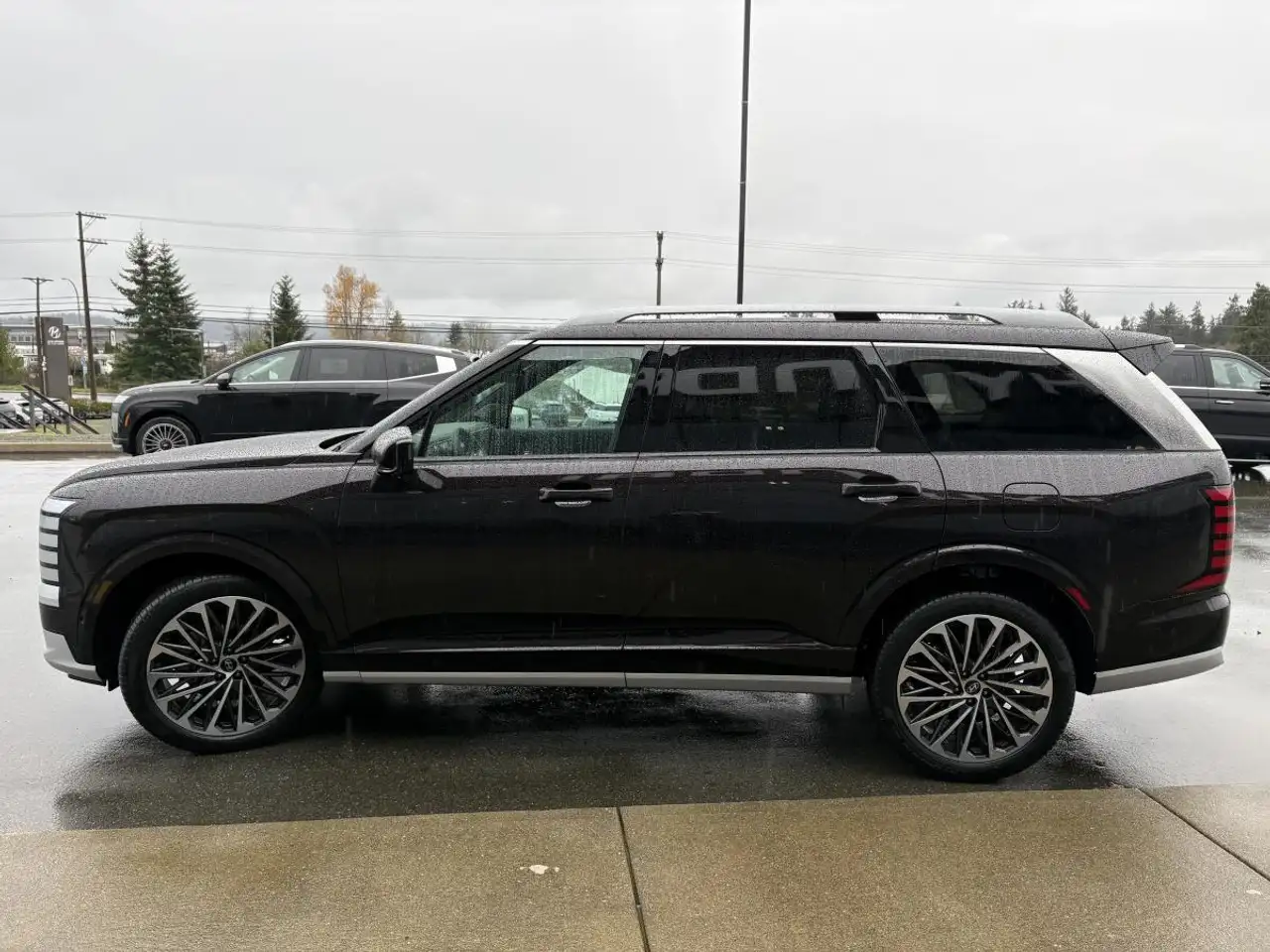 Hyundai PALISADE снимка Hyundai PALISADE