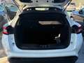 Nissan Juke 1.0 DIG-T 114 Mt N-Connecta Weiß - thumbnail 10
