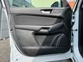 Ford S-Max S-MAX EcoBlue Titanium*7.Sitz*Kamera*AHK*Keyless Weiß - thumbnail 17