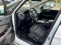 Ford S-Max S-MAX EcoBlue Titanium*7.Sitz*Kamera*AHK*Keyless Weiß - thumbnail 16