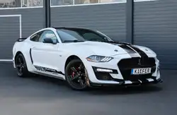 Ford Mustang 2.3 GT500 Optik/CarPlay/KAMERA/SHZ/R17