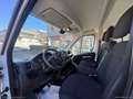 Citroen Jumper 33 BlueHDi 140 L2H2 S&S PM-TM Furgone Blanc - thumbnail 14