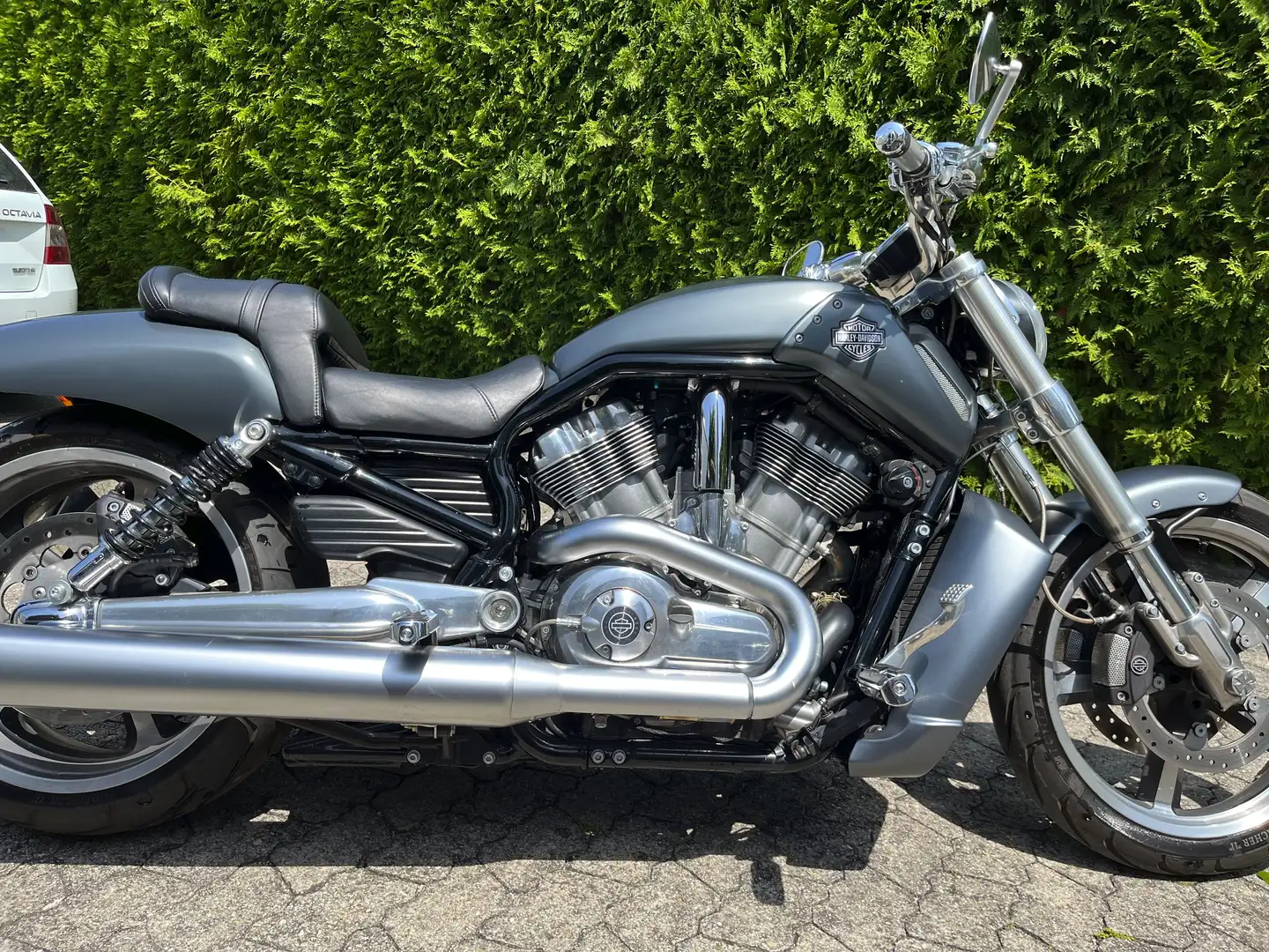 Harley-Davidson V-Rod Muscle Silber - 2