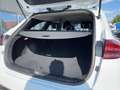 Kia Ceed SW / cee'd SW Sportswagon Vision 1.0 T-GDI Kamera SitzHzg Bianco - thumbnail 13