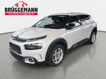 C4 CACTUS 1.2 PURETECH SHINE TEMP WINTER