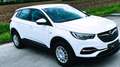 Opel Grandland X Grandland X 1,2 Turbo Direct Inj. 120 Edition Start/Stop 120 Edition Weiß - thumbnail 3