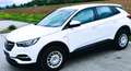 Opel Grandland X Grandland X 1,2 Turbo Direct Inj. 120 Edition Start/Stop 120 Edition Weiß - thumbnail 1