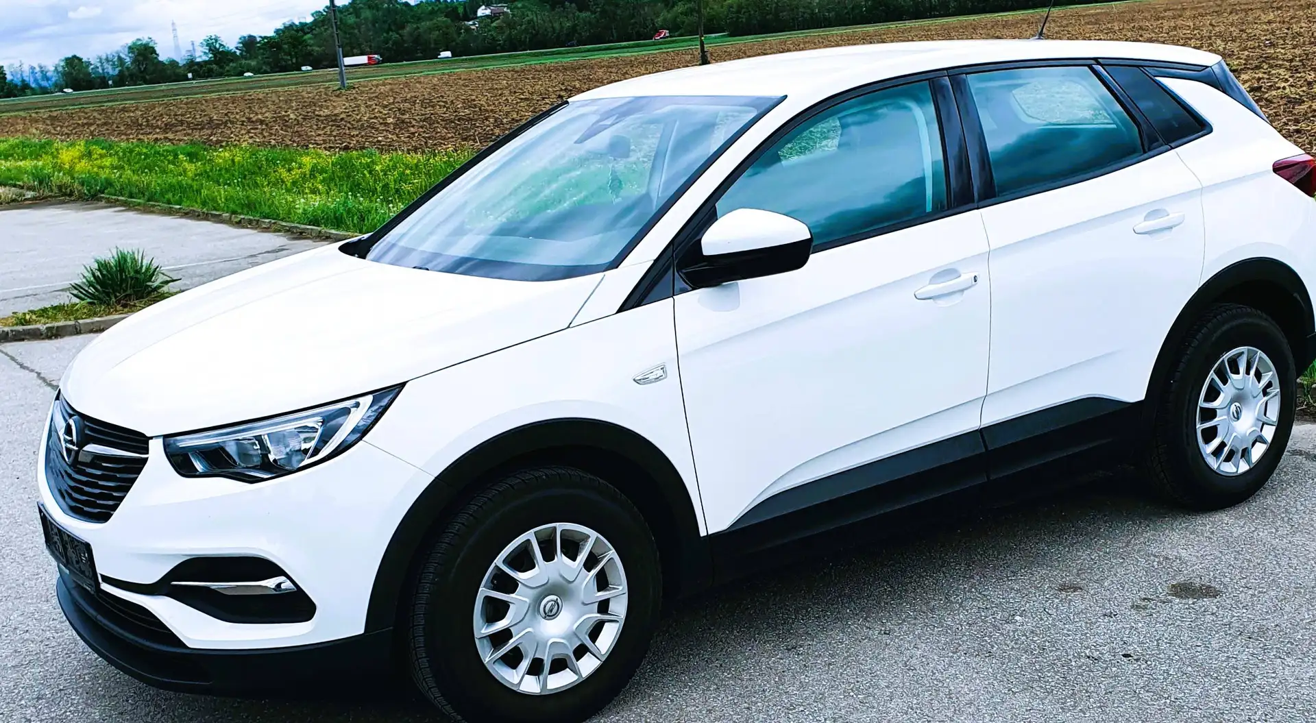 Opel Grandland X Grandland X 1,2 Turbo Direct Inj. 120 Edition Start/Stop 120 Edition Weiß - 1