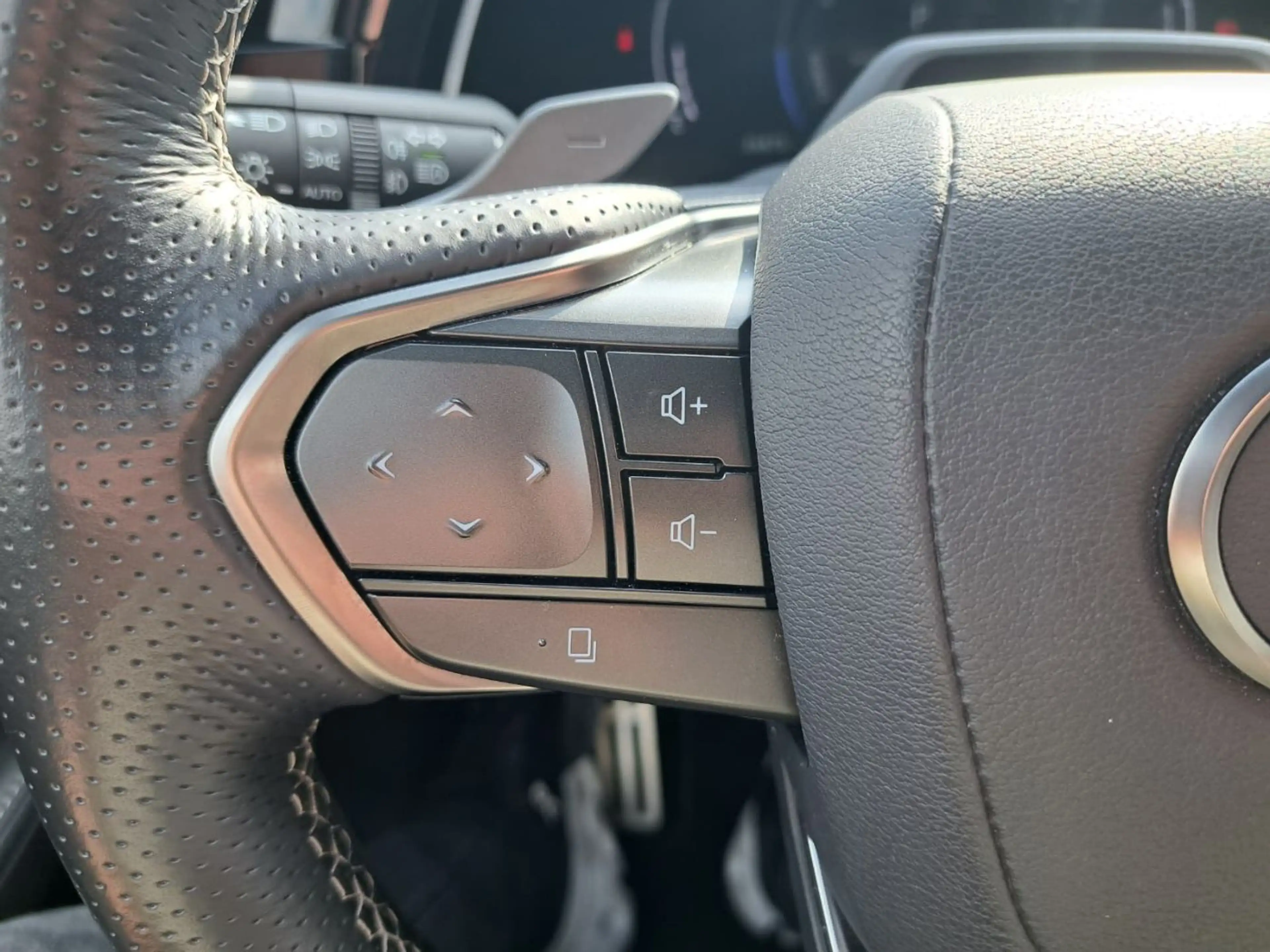 Lexus RX 500h F-Sport Performance *Mark Leivinson Panorama* — photo 17
