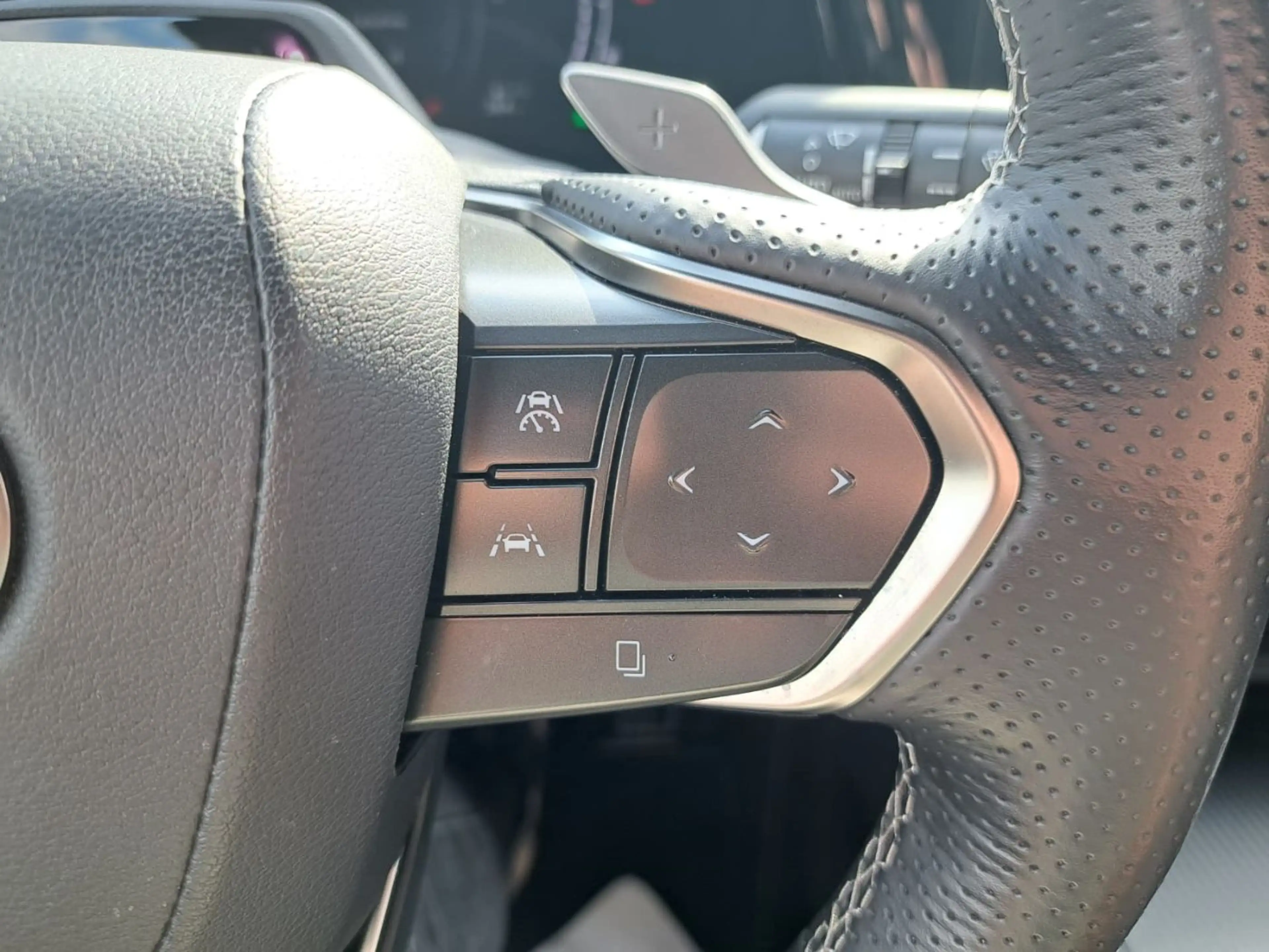 Lexus RX 500h F-Sport Performance *Mark Leivinson Panorama* — photo 18