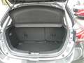 Mazda 2 2 1.5 m-hybrid Evolve 90cv Grigio - thumbnail 10