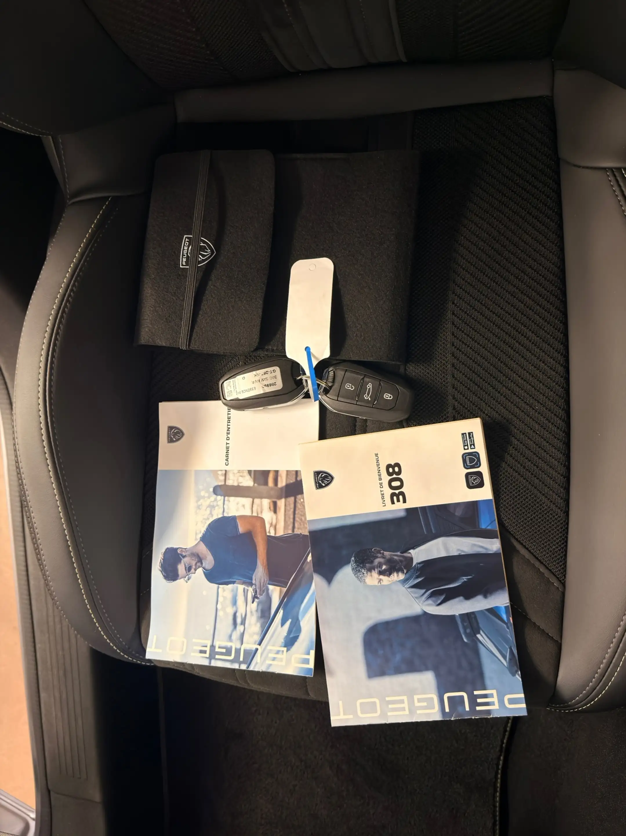 Peugeot 308 SW 1.6 Plug-in Hybrid 225 GT, Panoramadak, 360 Cam — photo 25