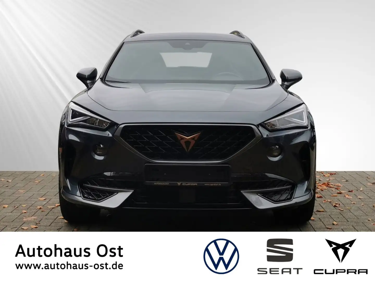 CUPRA Formentor 1.5 TSI DSG LED Navi Beats Ganzjahresreifen Klima Grau - 2