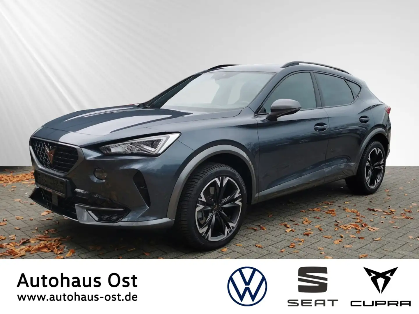 CUPRA Formentor 1.5 TSI DSG LED Navi Beats Ganzjahresreifen Klima Grau - 1