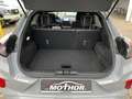 Ford Puma ST-Line X 1.0 EcoBoost MHEV ACC NAVI Gris - thumbnail 14