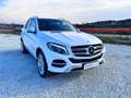 Mercedes-Benz GLE 250 250 d Executive 4matic auto IVA ESPOSTA Blanc - thumbnail 3