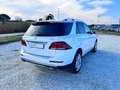 Mercedes-Benz GLE 250 250 d Executive 4matic auto IVA ESPOSTA Blanc - thumbnail 4