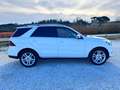 Mercedes-Benz GLE 250 250 d Executive 4matic auto IVA ESPOSTA Blanc - thumbnail 9