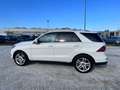 Mercedes-Benz GLE 250 250 d Executive 4matic auto IVA ESPOSTA Blanc - thumbnail 8