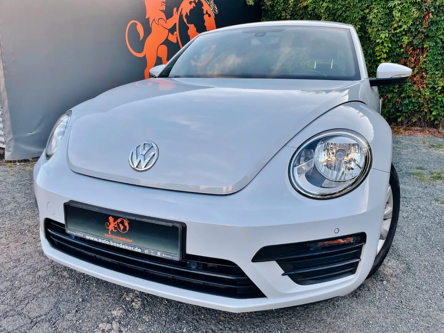 Volkswagen Beetle #1.HAND#TÜV#SERVICE#KLIMA#SHZ#TEMPOM#TOP! Silver - 1
