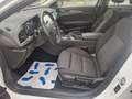 Opel Insignia B Sports Tourer Autm /AHK/Navi/Winterp. Weiß - thumbnail 13