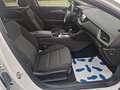 Opel Insignia B Sports Tourer Autm /AHK/Navi/Winterp. Weiß - thumbnail 20