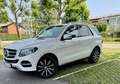 Mercedes-Benz GLE 250 d 4Matic Aut. - thumbnail 2